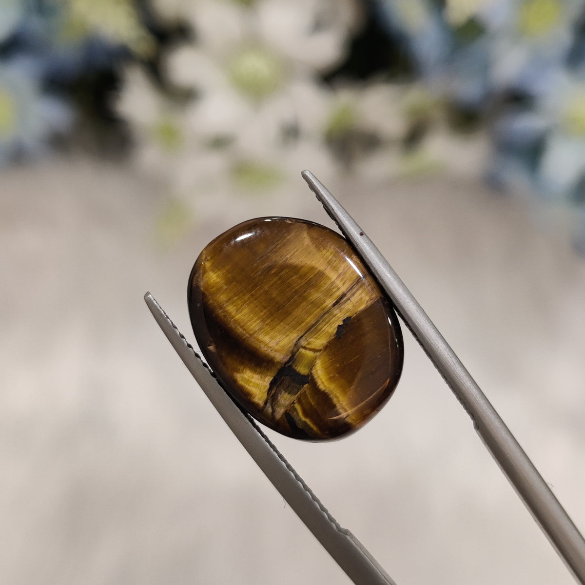 Natural Tiger Eye | TE 10 | 9.87 Carat | Certified