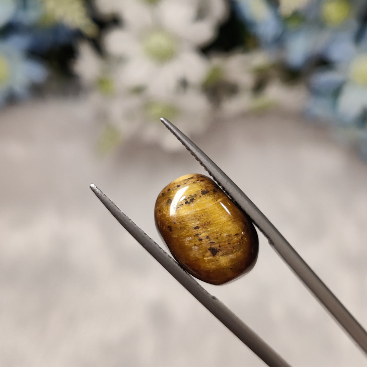 Natural Tiger Eye | TE 2 | 9.7 Carat | Certified