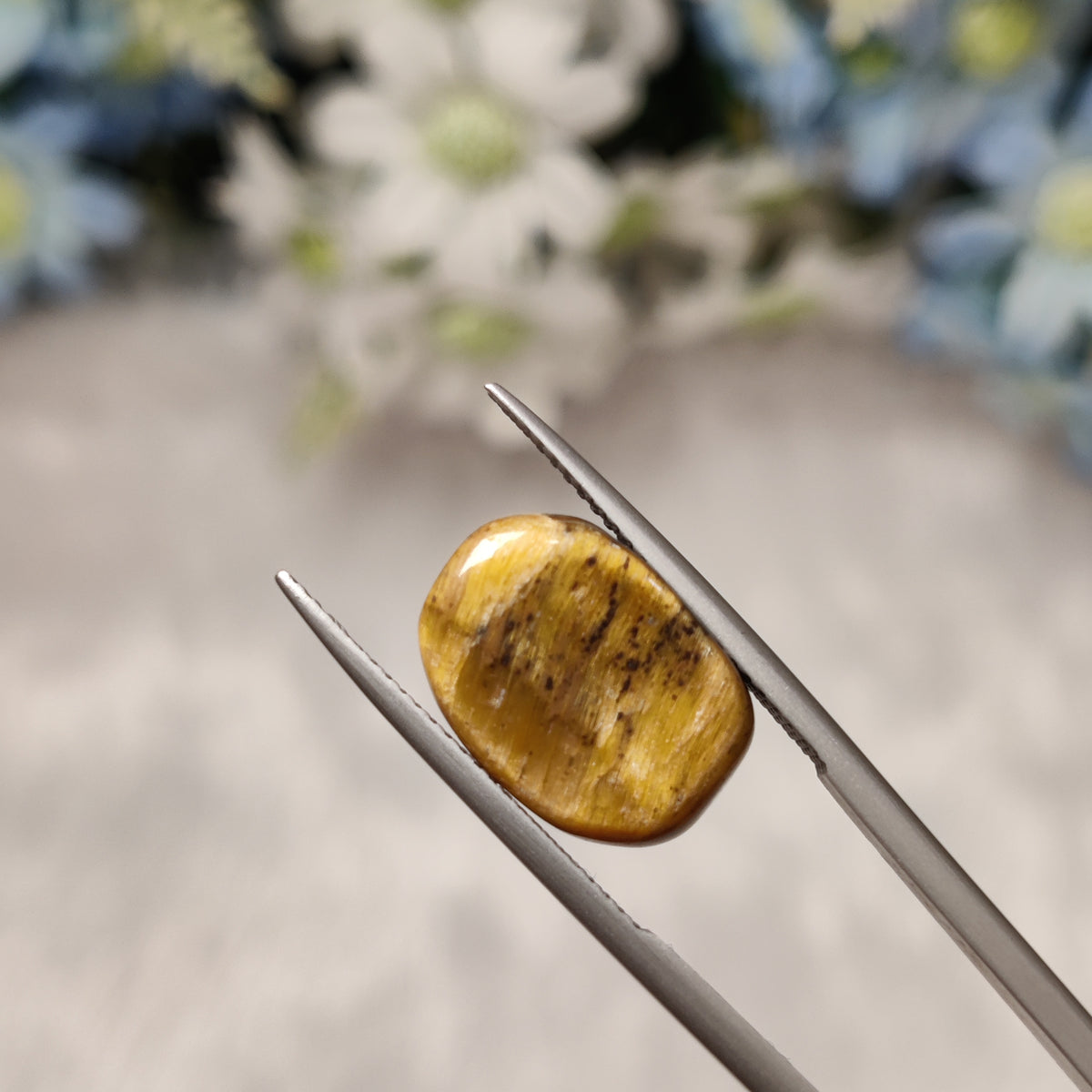 Natural Tiger Eye | TE 2 | 9.7 Carat | Certified