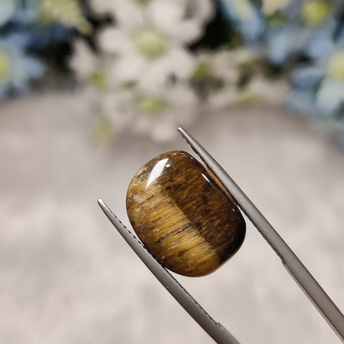 Natural Tiger Eye | TE 11 | 7.64 Carat | Certified