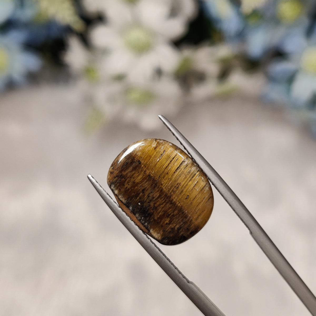Natural Tiger Eye | TE 11 | 7.64 Carat | Certified