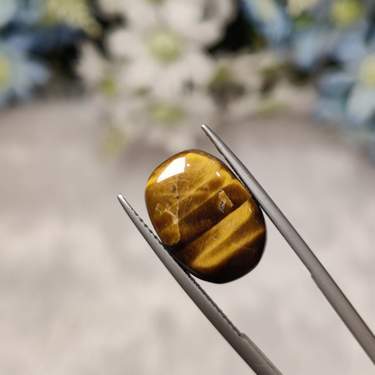 Natural Tiger Eye | TE 5 | 8.69 Carat | Certified