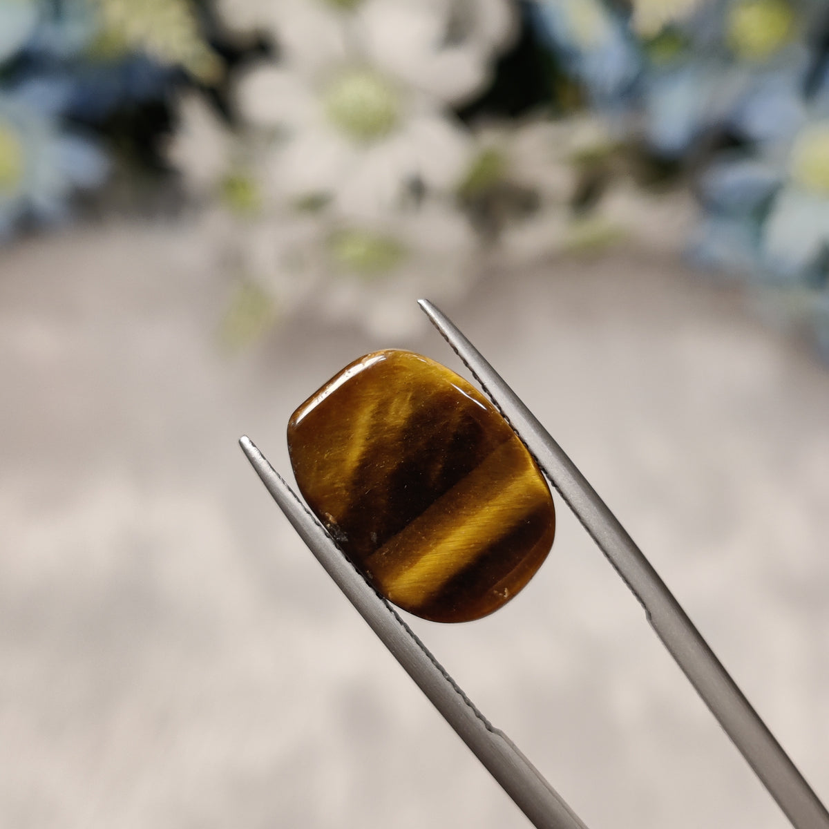Natural Tiger Eye | TE 5 | 8.69 Carat | Certified