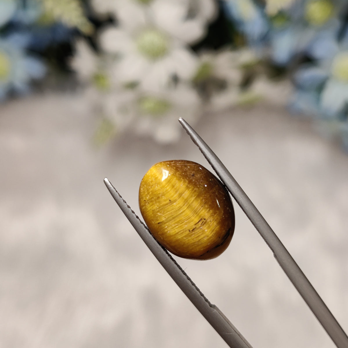 Natural Tiger Eye | TE 6 | 7.46 Carat | Certified