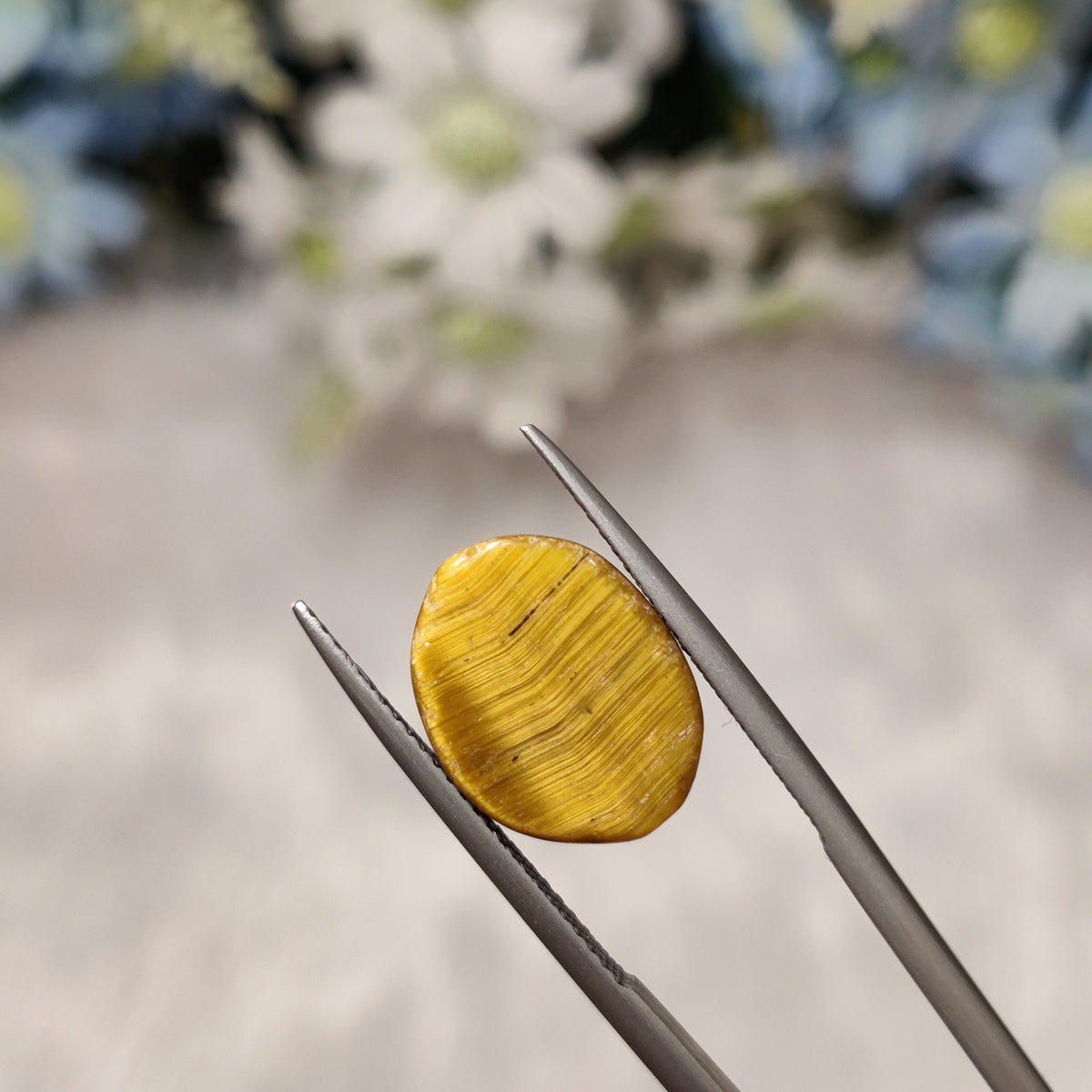 Natural Tiger Eye | TE 6 | 7.46 Carat | Certified