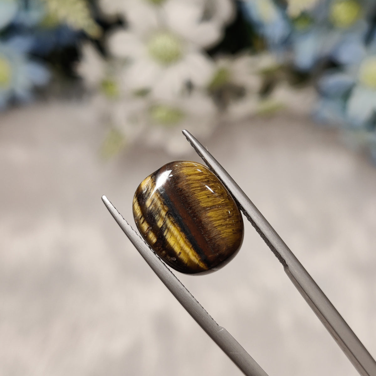 Natural Tiger Eye | TE 9 | 8.21 Carat | Certified
