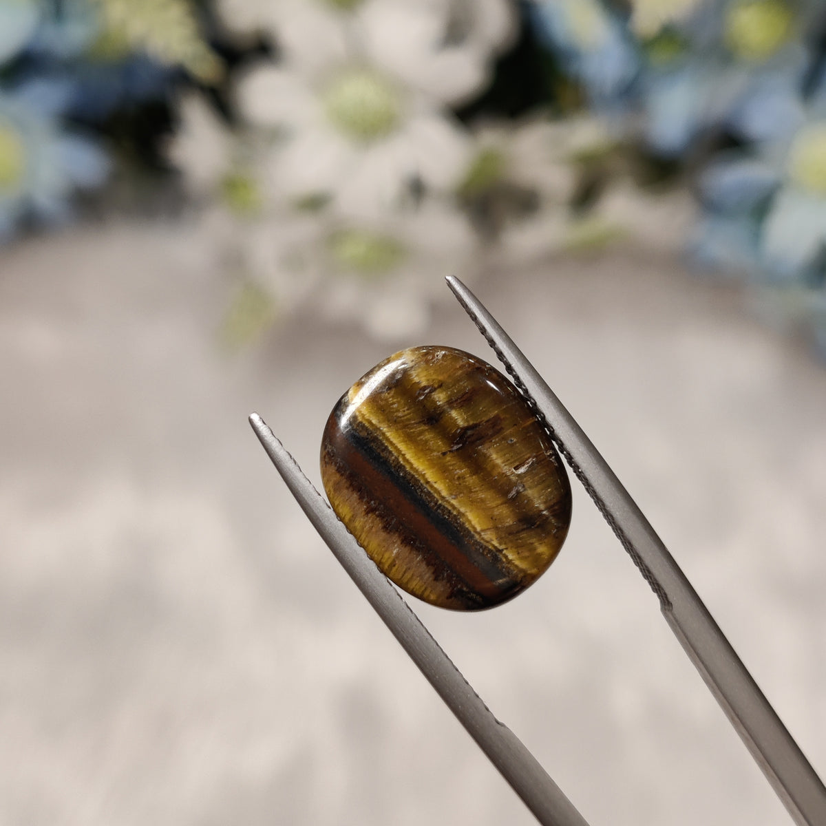 Natural Tiger Eye | TE 9 | 8.21 Carat | Certified