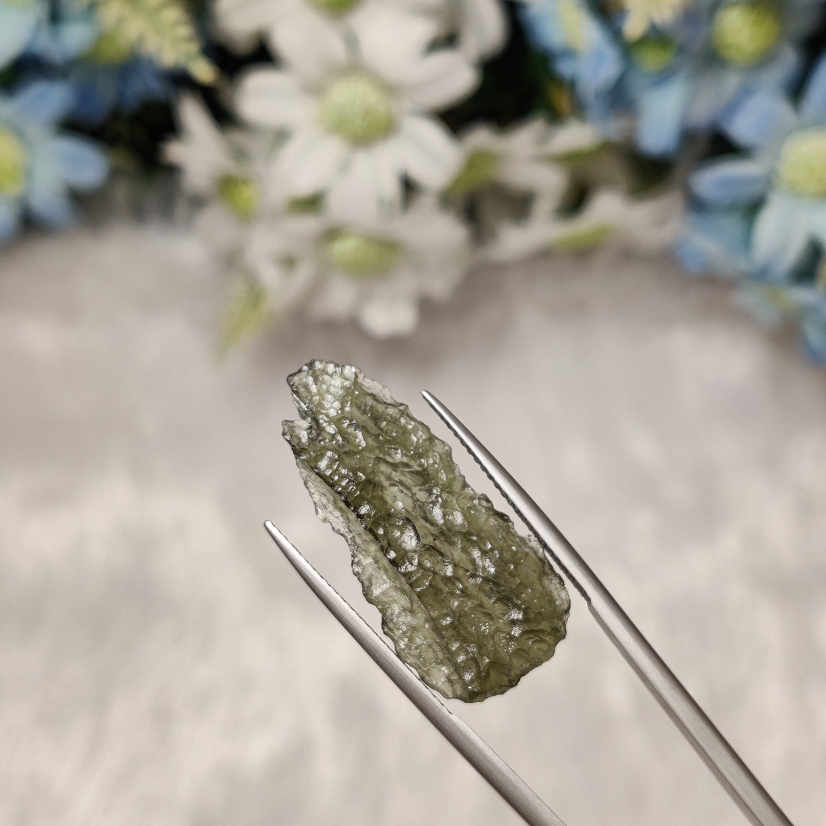 Natural Moldavite | MOL 47 | 8.73 Carat | Certified