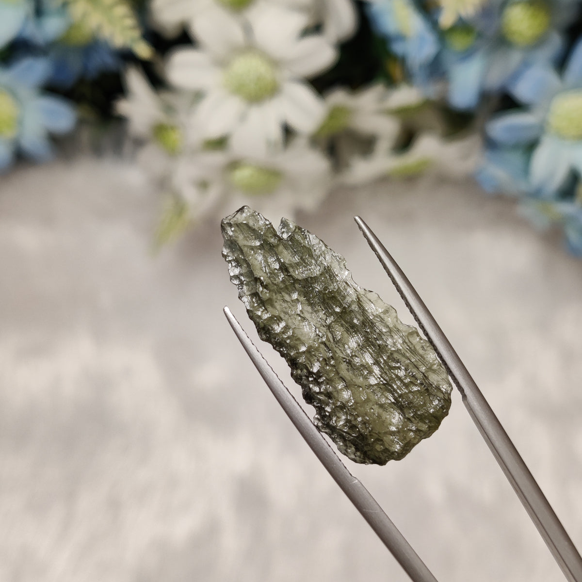 Natural Moldavite | MOL 47 | 8.73 Carat | Certified
