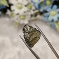 Moldavite | MOL 9 | 6.3 Carat