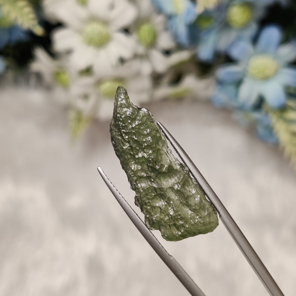 Natural Moldavite | MOL 48 | 11.5 Carat | Certified