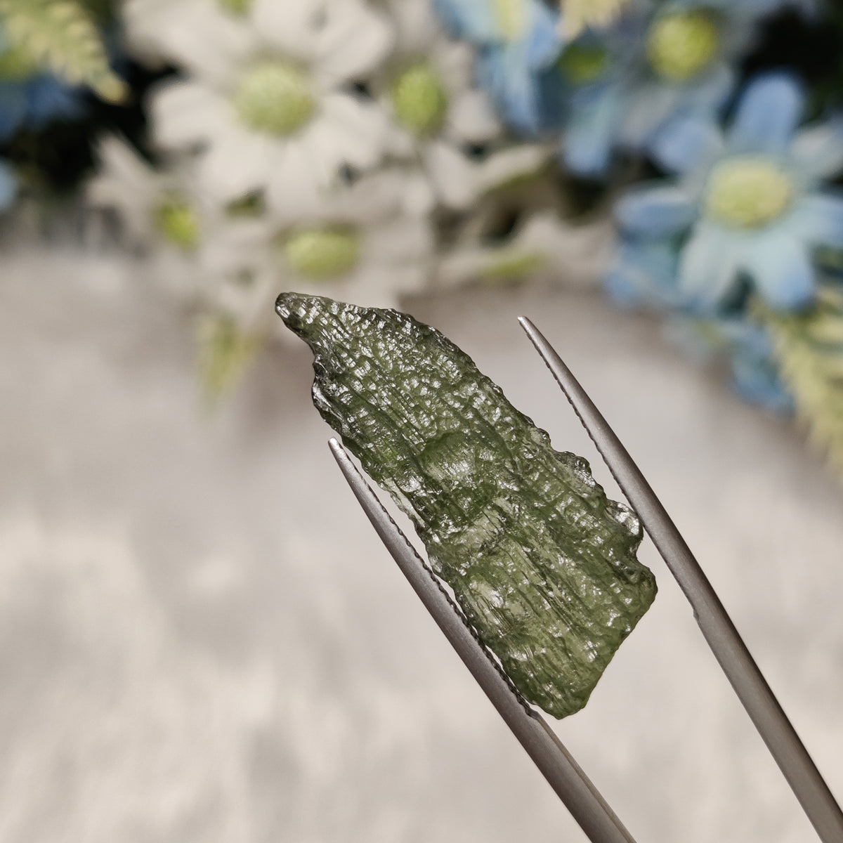 Natural Moldavite | MOL 48 | 11.5 Carat | Certified