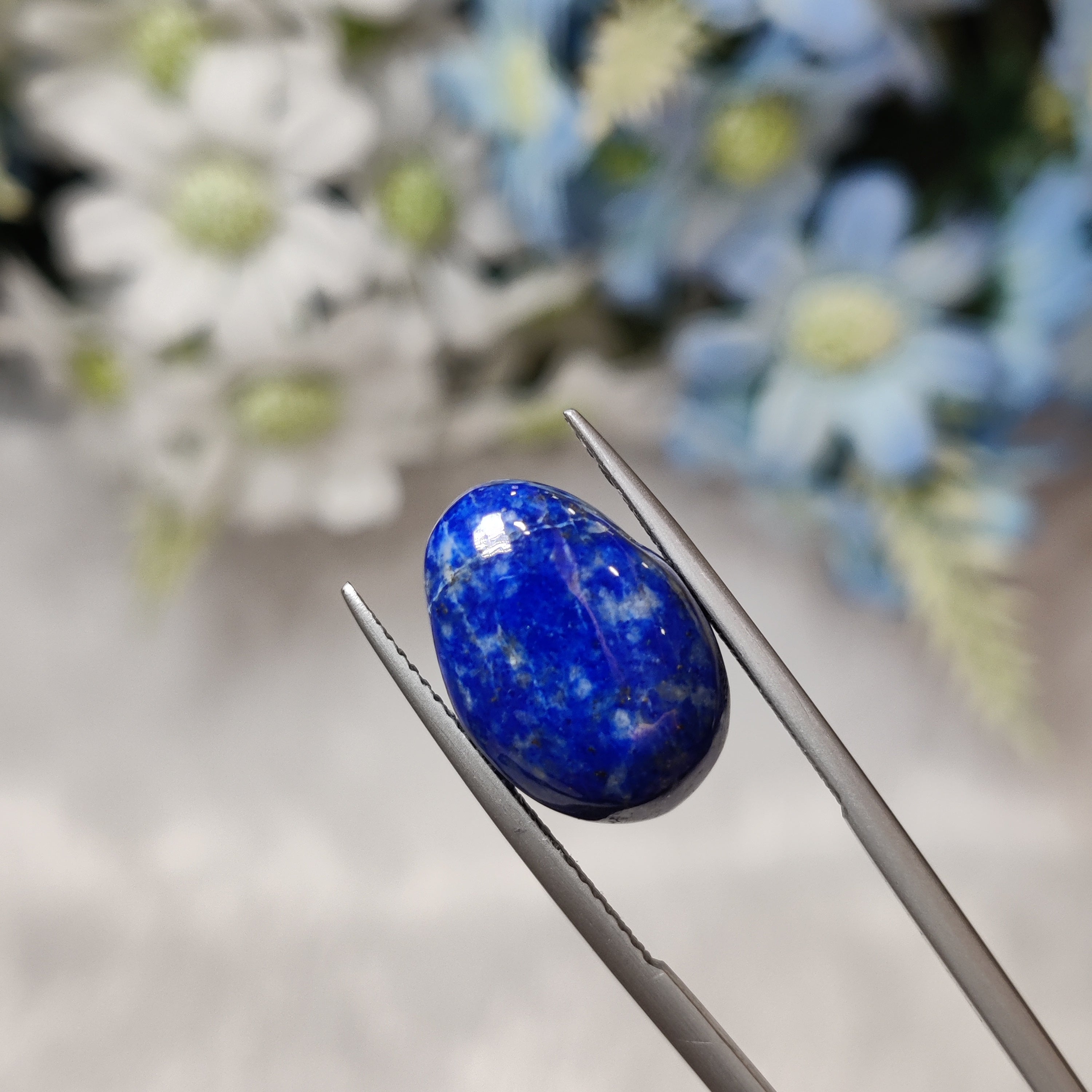 Lapis Lazuli | Lapis 31 | 12.53 Carat