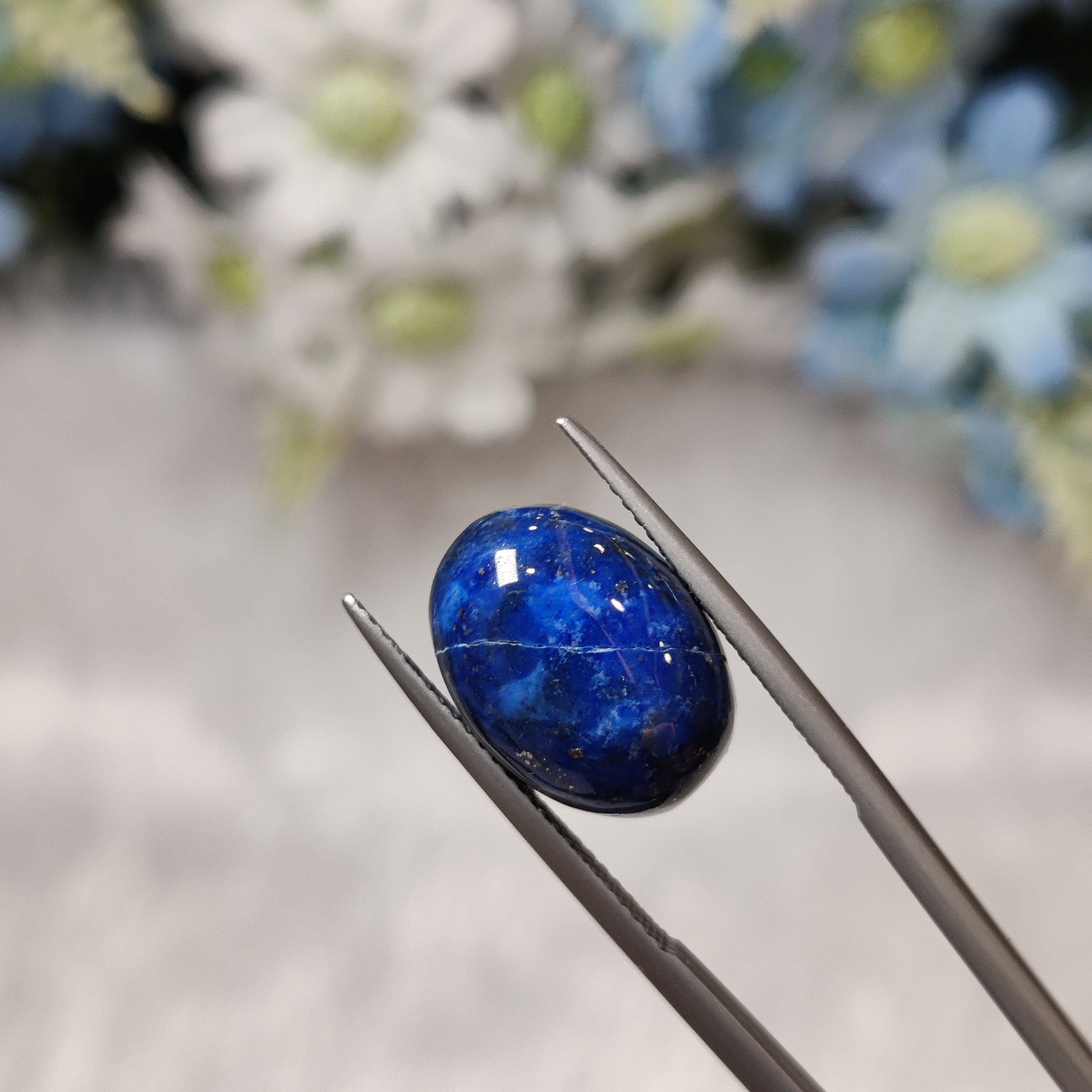Lapis Lazuli | Lapis 10 | 11.69 Carat