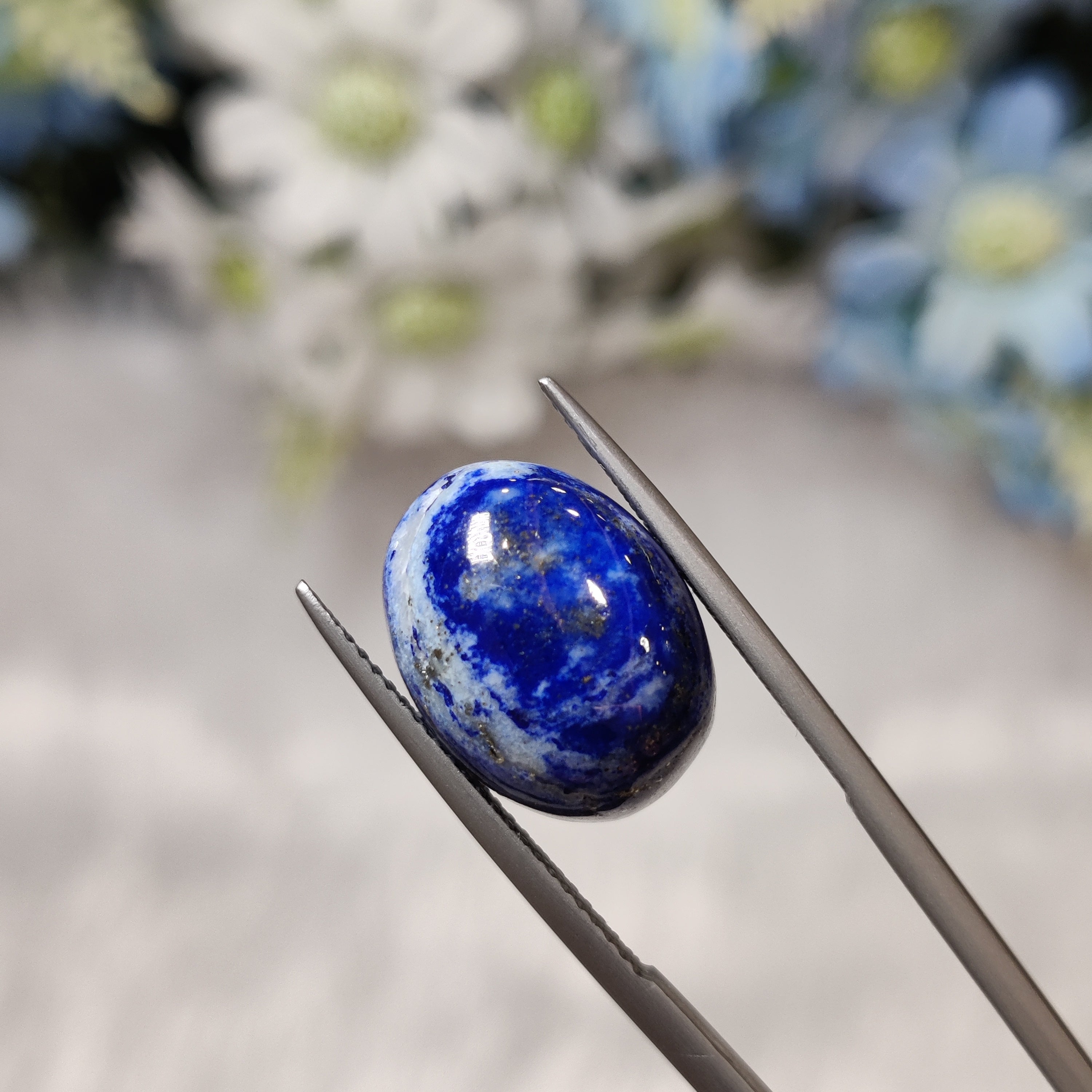 Lapis Lazuli | Lapis 23 | 13.49 Carat