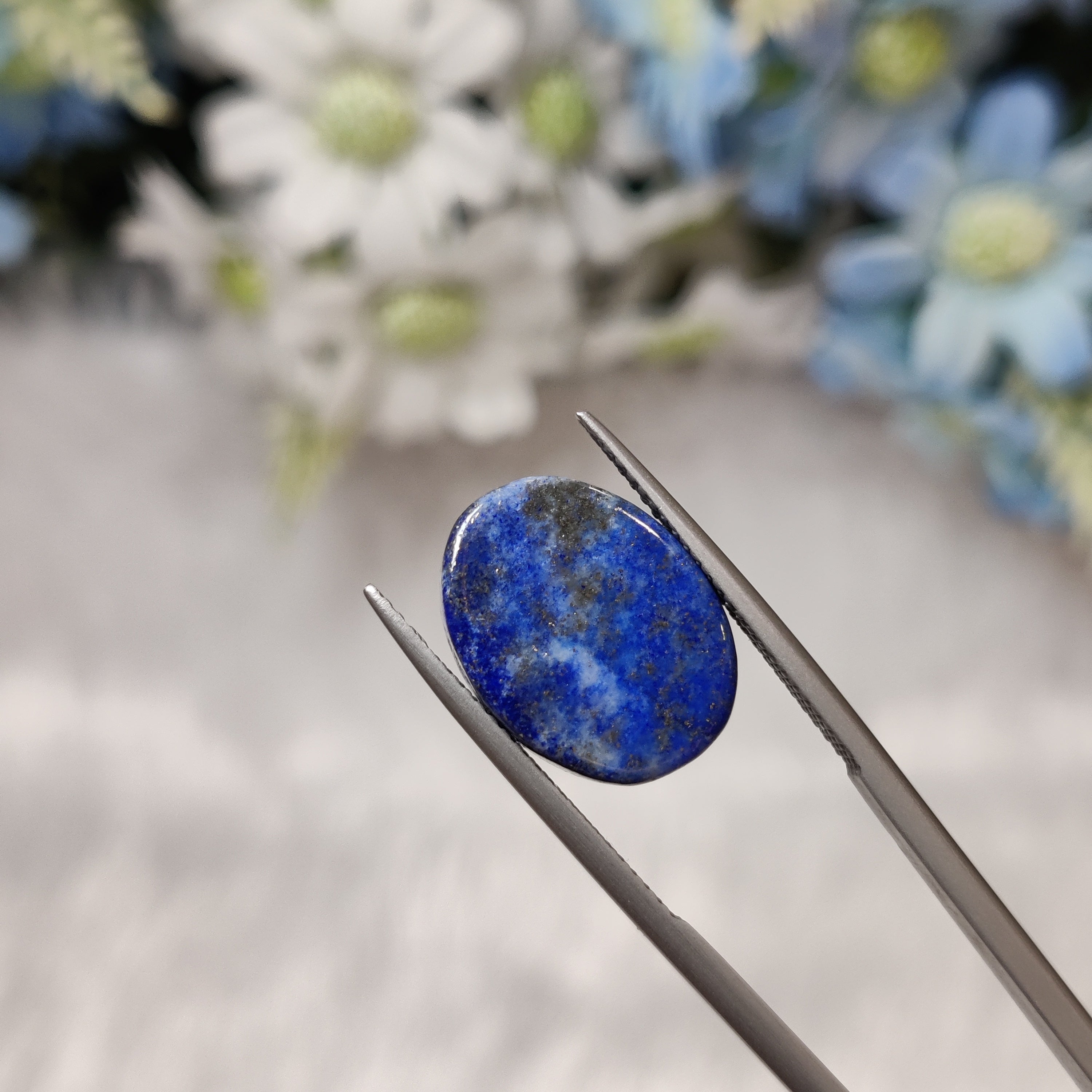 Lapis Lazuli | Lapis 23 | 13.49 Carat