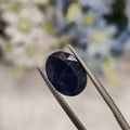 Blue Sapphire | BS 76 | 5.95 Carat