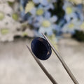 Blue Sapphire | BS 44 | 7.83 Carat
