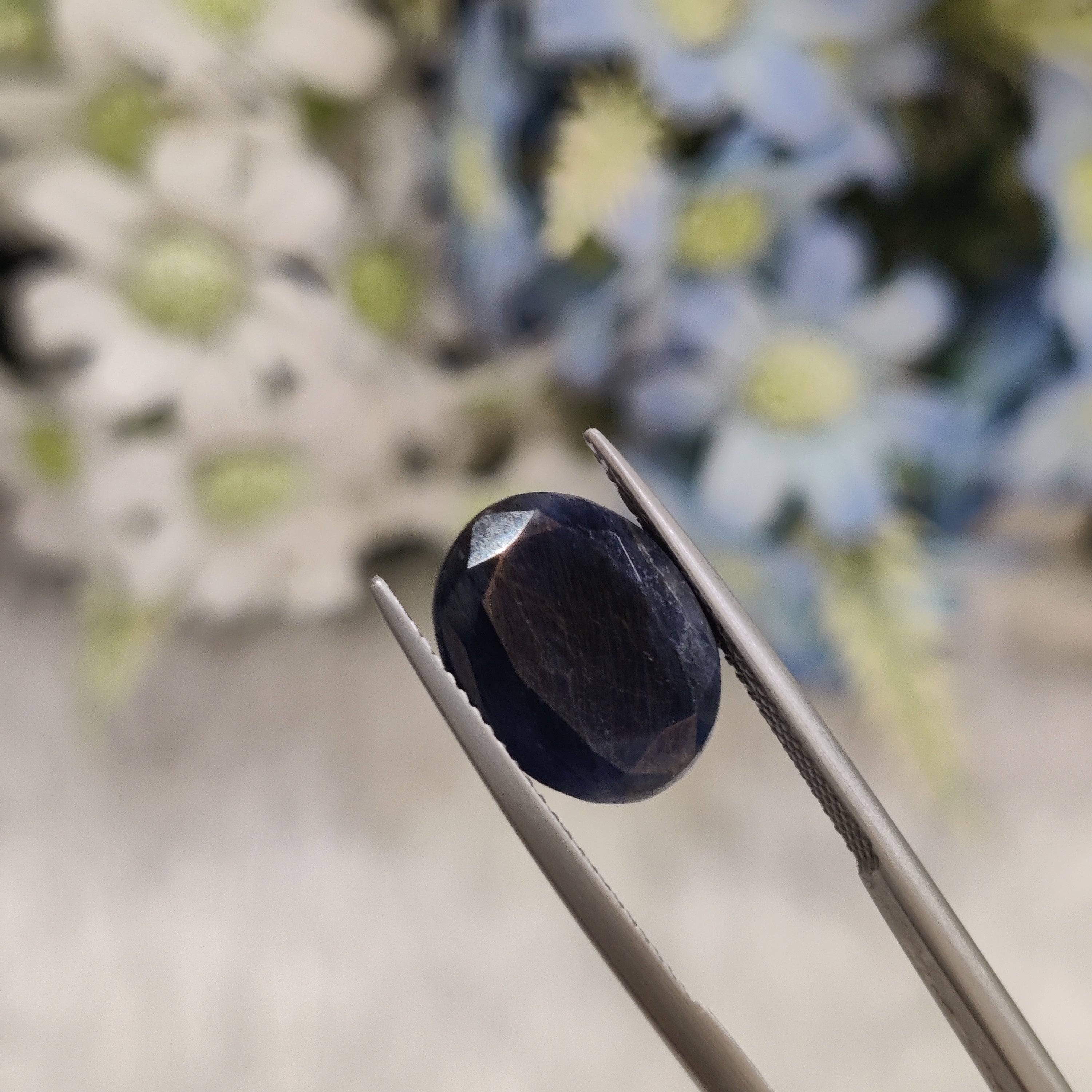 Blue Sapphire | BS 80 | 8.25 Carat