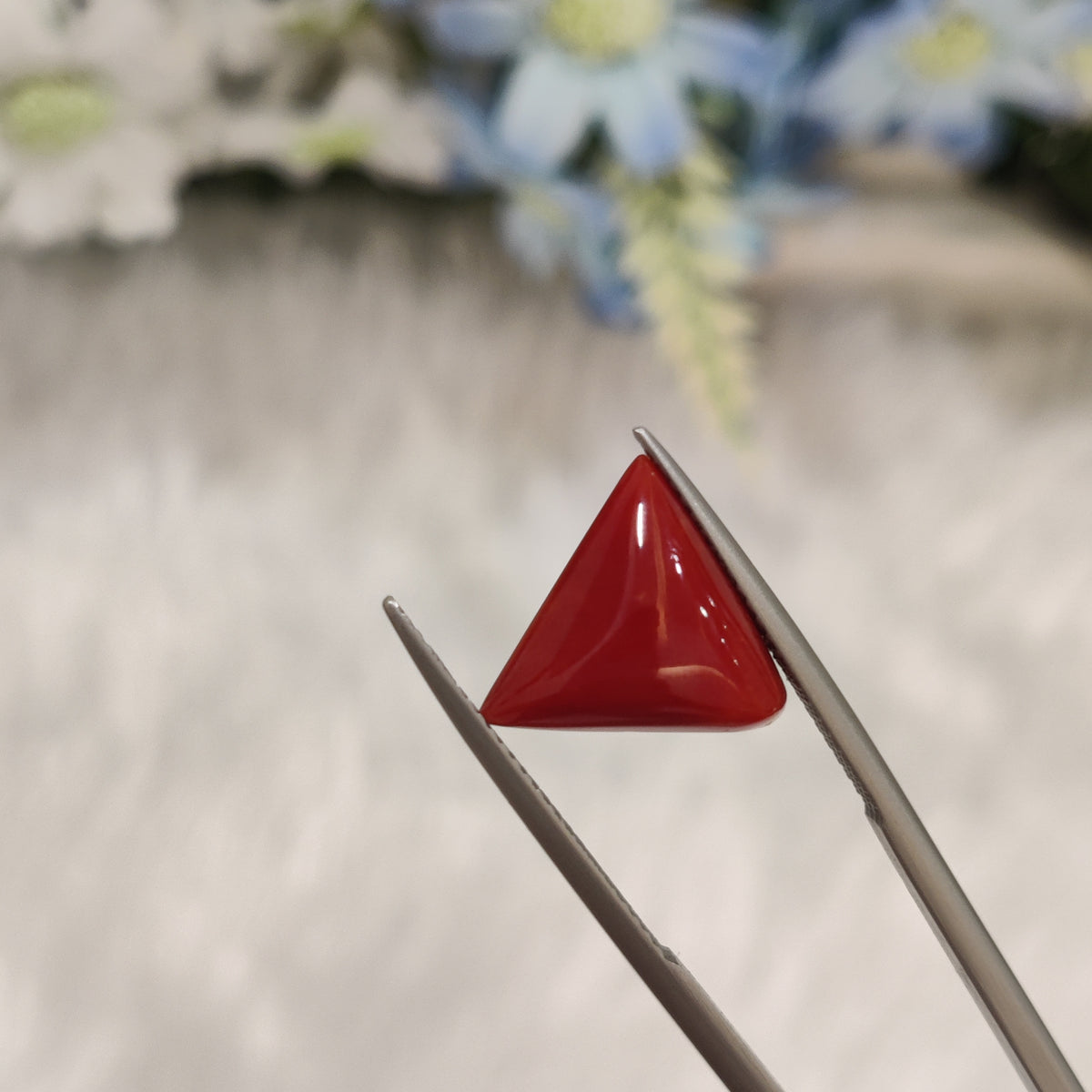 Natural Coral (Moonga) | Coral 80 | 6.28 Carat | Certified