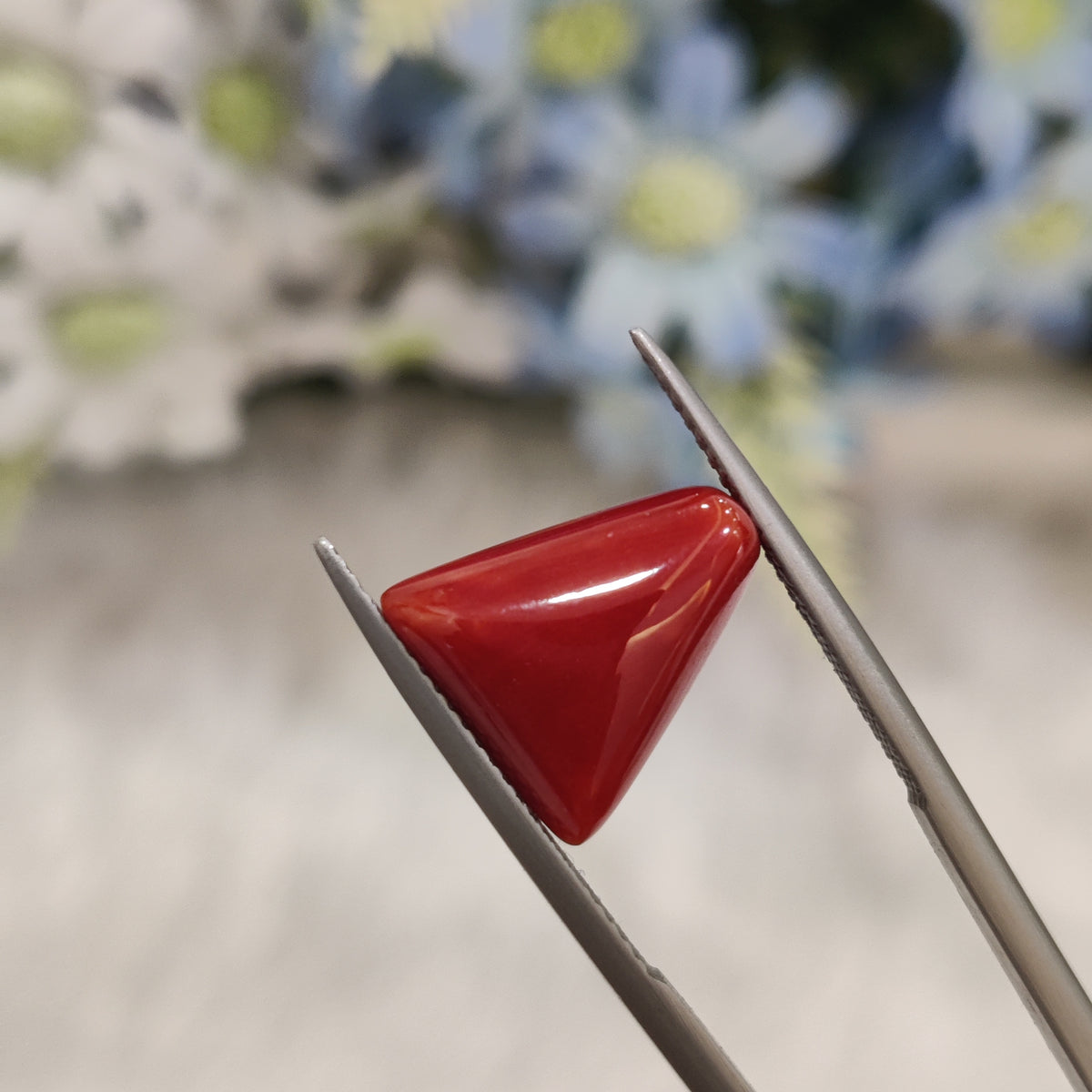 Natural Coral (Moonga) | Coral 76 | 7.21 Carat | Certified