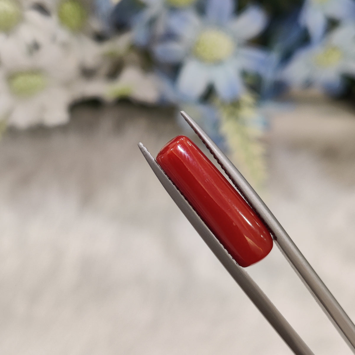 Natural Coral (Moonga) | Coral 99 | 7.44 Carat | Certified