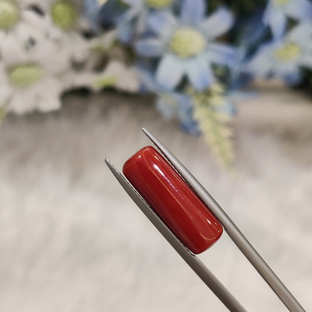 Natural Coral (Moonga) | Coral 98 | 7.43 Carat | Certified