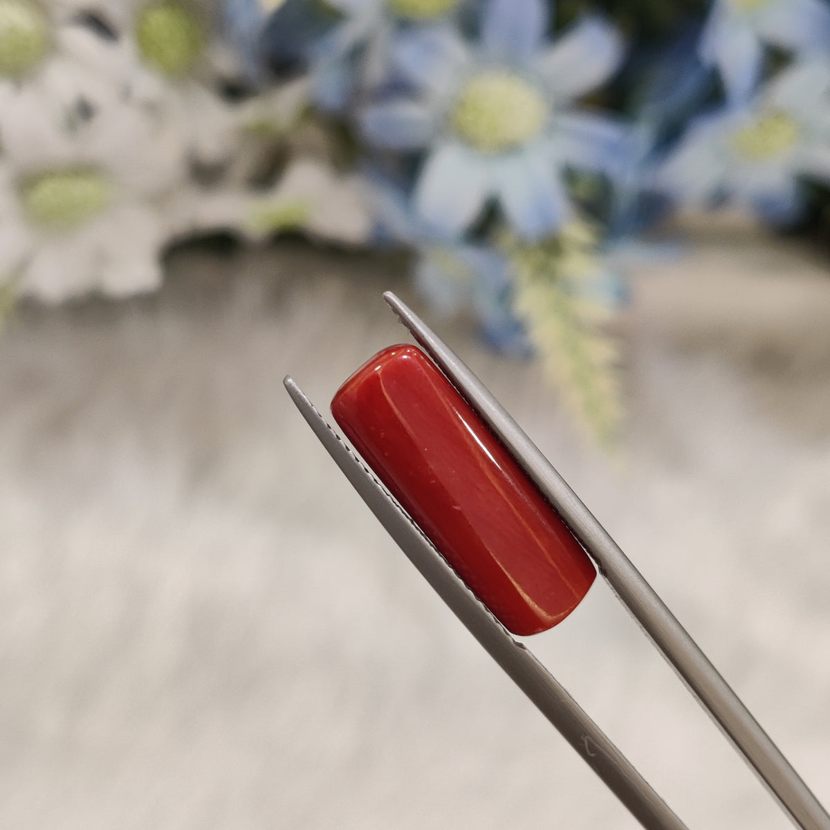 Natural Coral (Moonga) | Coral 98 | 7.43 Carat | Certified