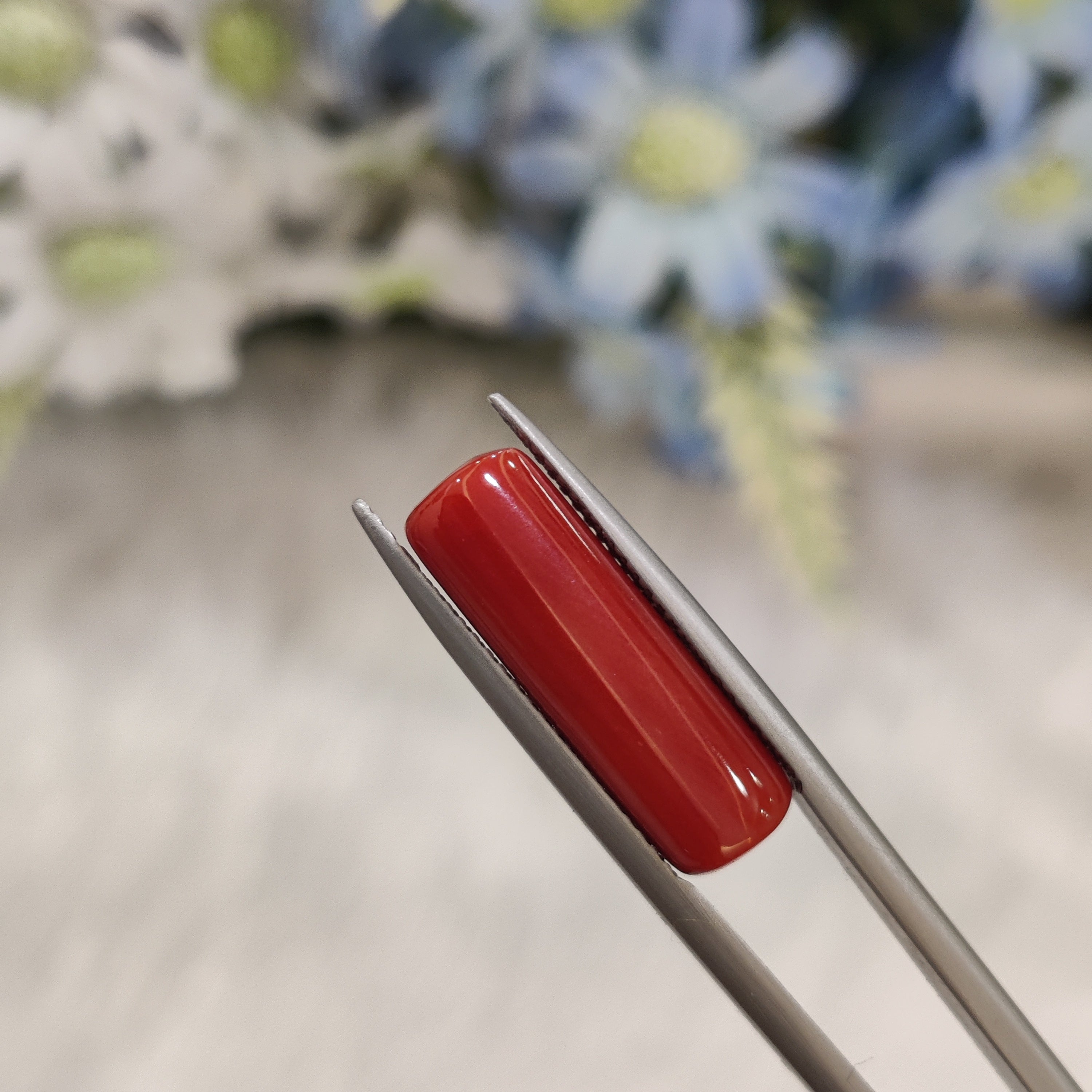 Coral | CORAL 101 | 8.05 Carat