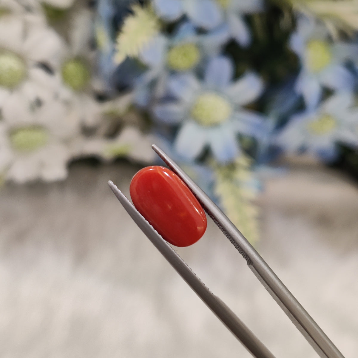 Natural Coral (Moonga) | Coral 92 | 5.07 Carat | Certified