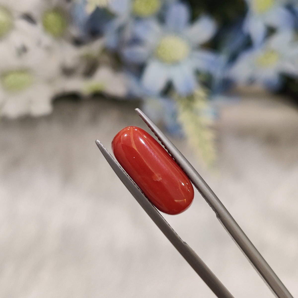 Natural Coral (Moonga) | Coral 87 | 5.57 Carat | Certified