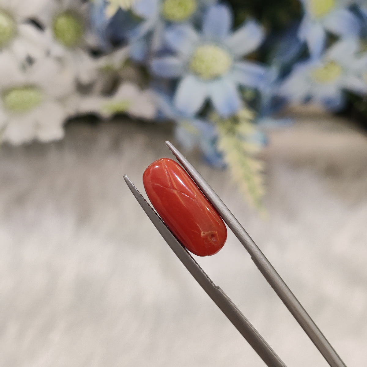 Natural Coral (Moonga) | Coral 87 | 5.57 Carat | Certified