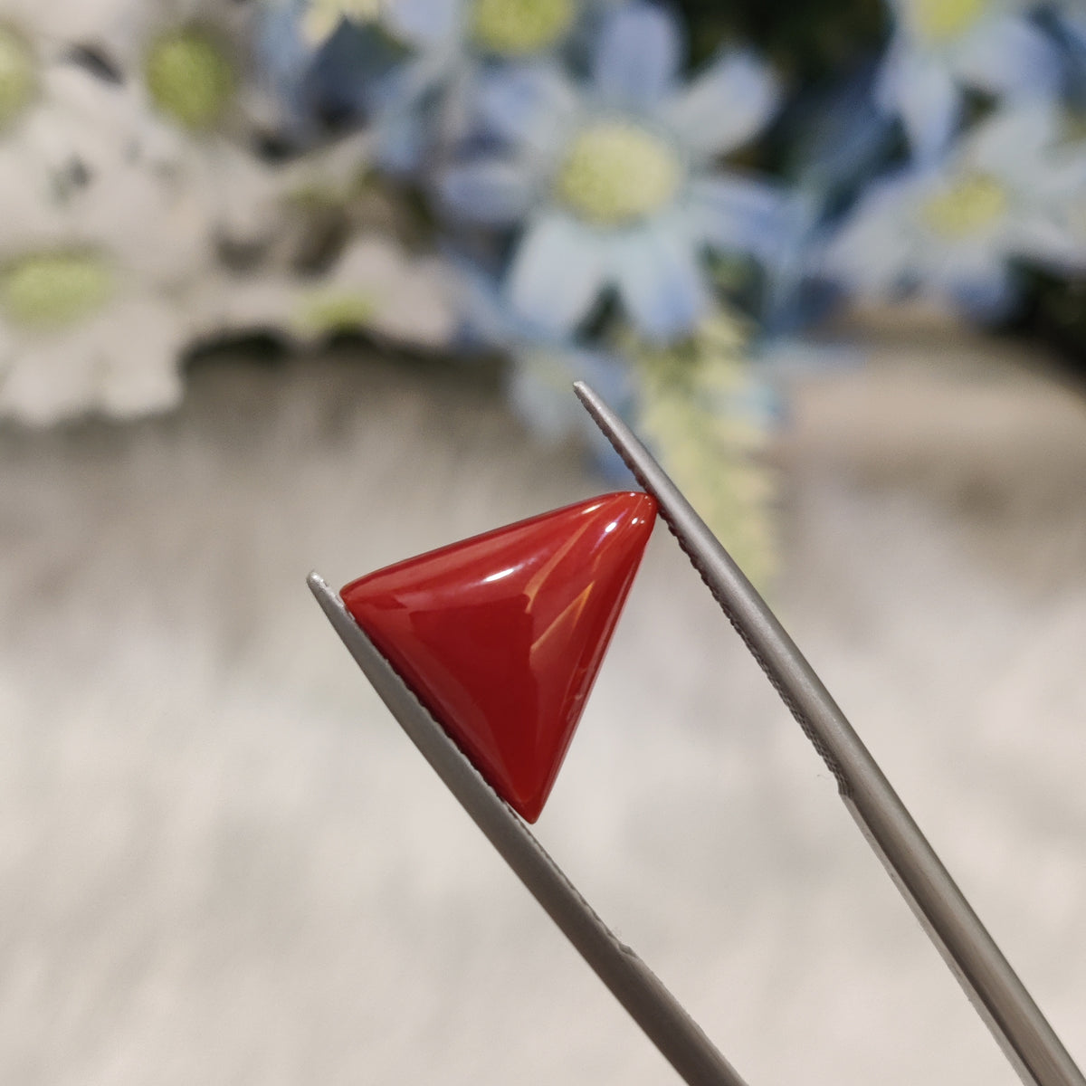 Natural Coral (Moonga) | Coral 82 | 5.58 Carat | Certified