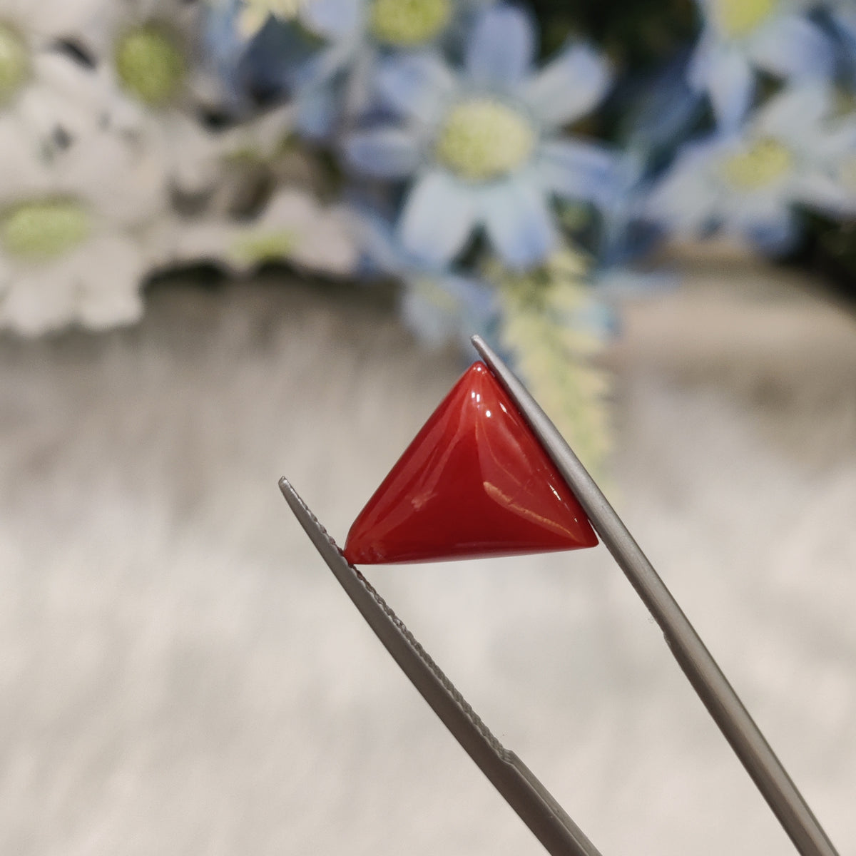 Natural Coral (Moonga) | Coral 82 | 5.58 Carat | Certified