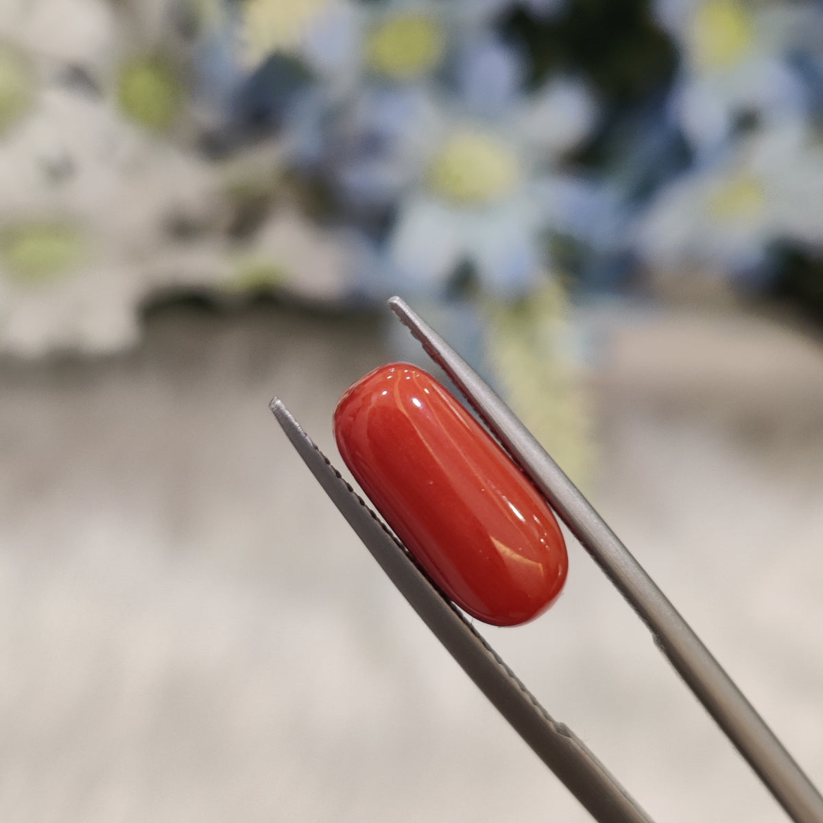Natural Coral (Moonga) | Coral 83 | 4.82 Carat | Certified