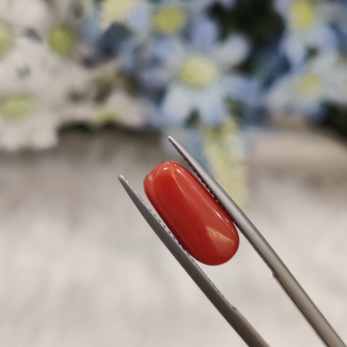 Natural Coral (Moonga) | Coral 83 | 4.82 Carat | Certified
