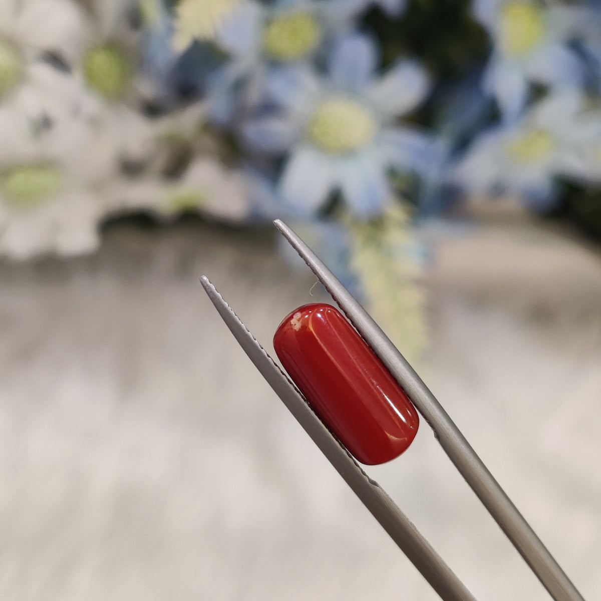 Natural Coral (Moonga) | Coral 90 | 4.55 Carat | Certified
