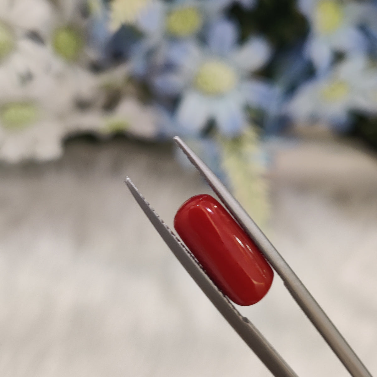 Natural Coral (Moonga) | Coral 90 | 4.55 Carat | Certified