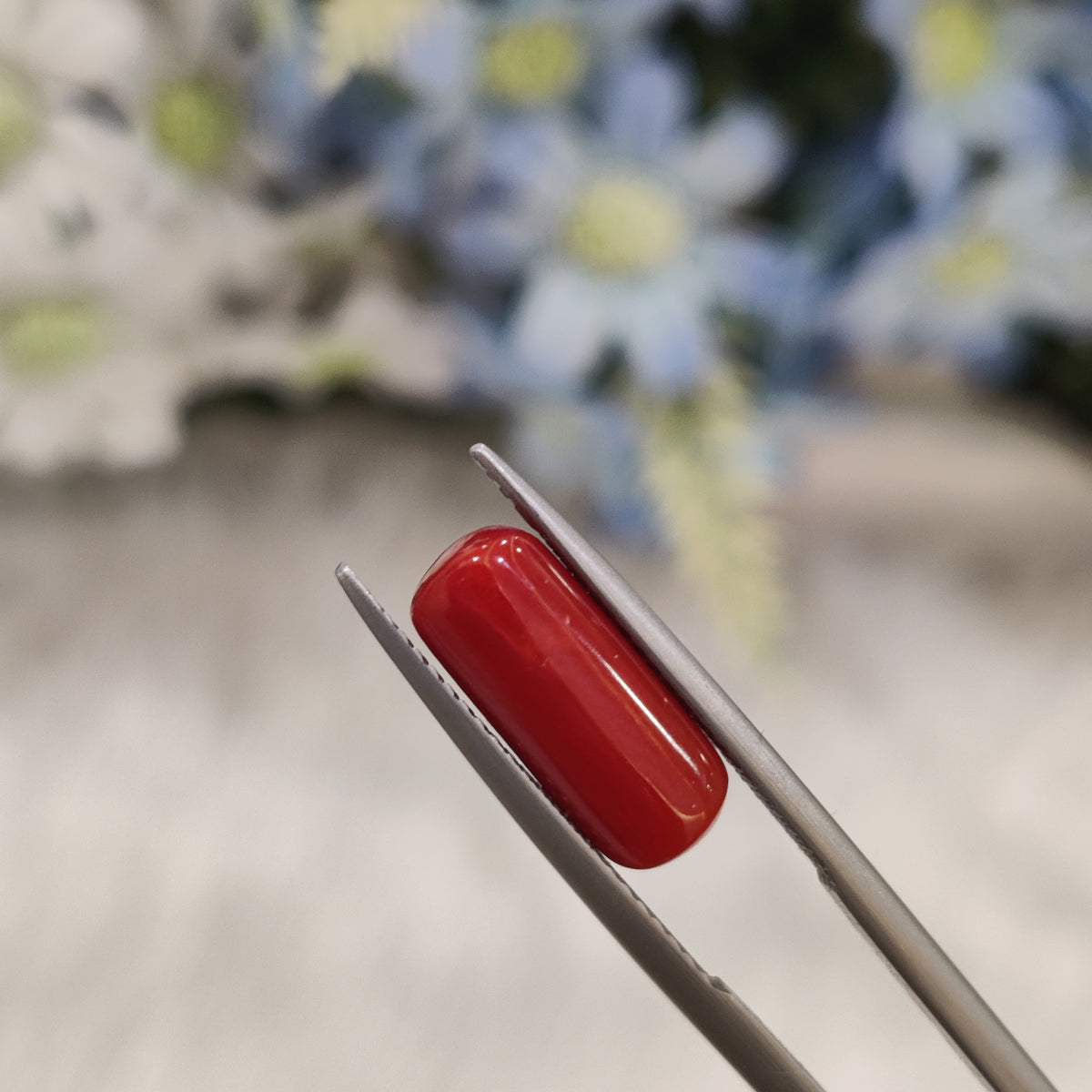 Natural Coral (Moonga) | Coral 94 | 4.38 Carat | Certified