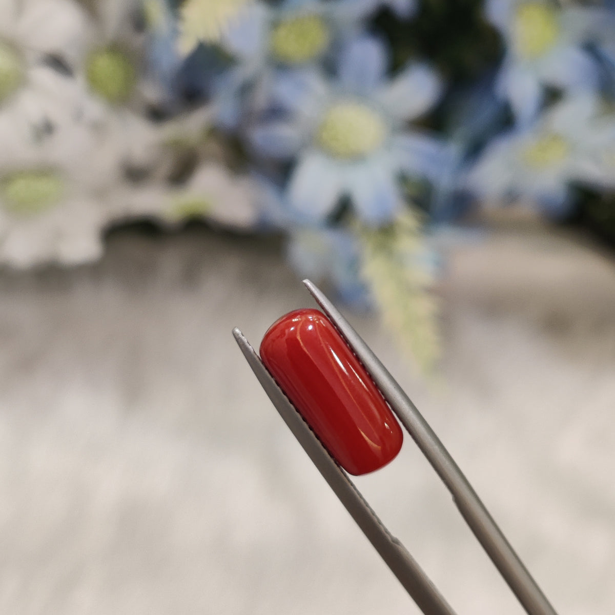 Natural Coral (Moonga) | Coral 93 | 4.77 Carat | Certified