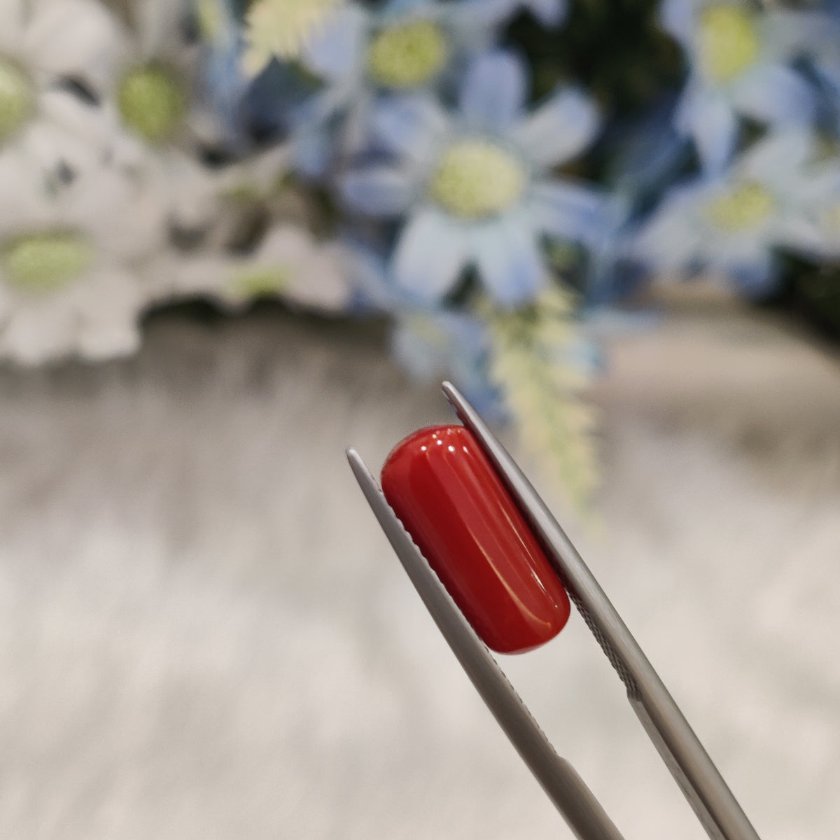 Natural Coral (Moonga) | Coral 93 | 4.77 Carat | Certified
