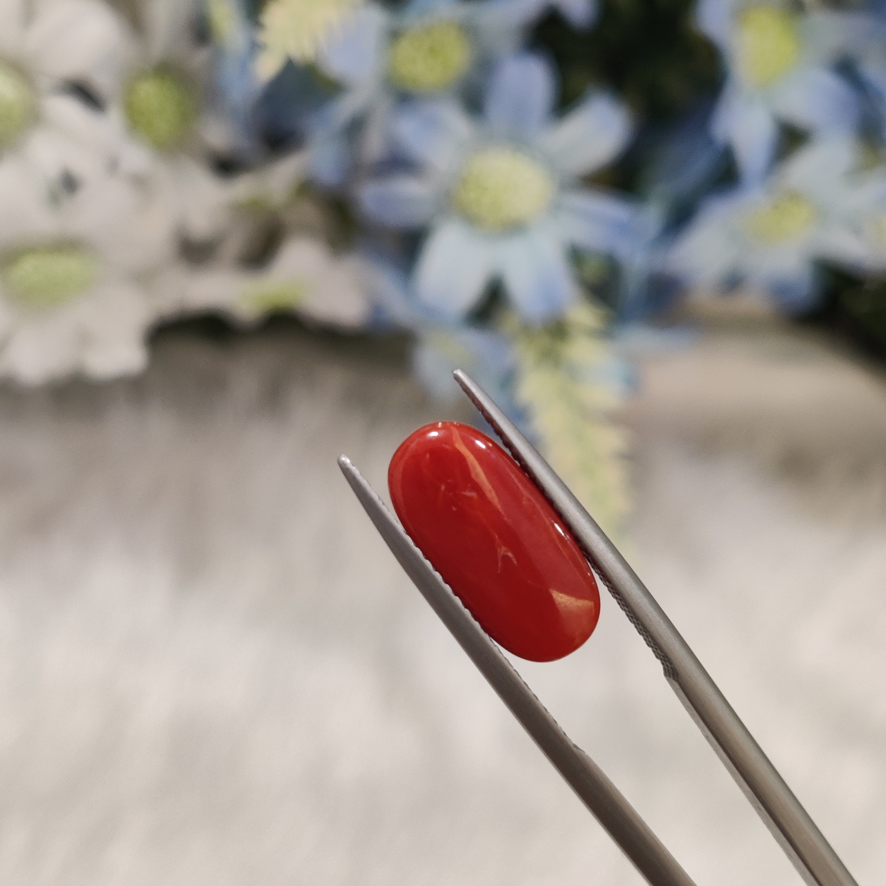 Coral | CORAL 84 | 4.96 Carat