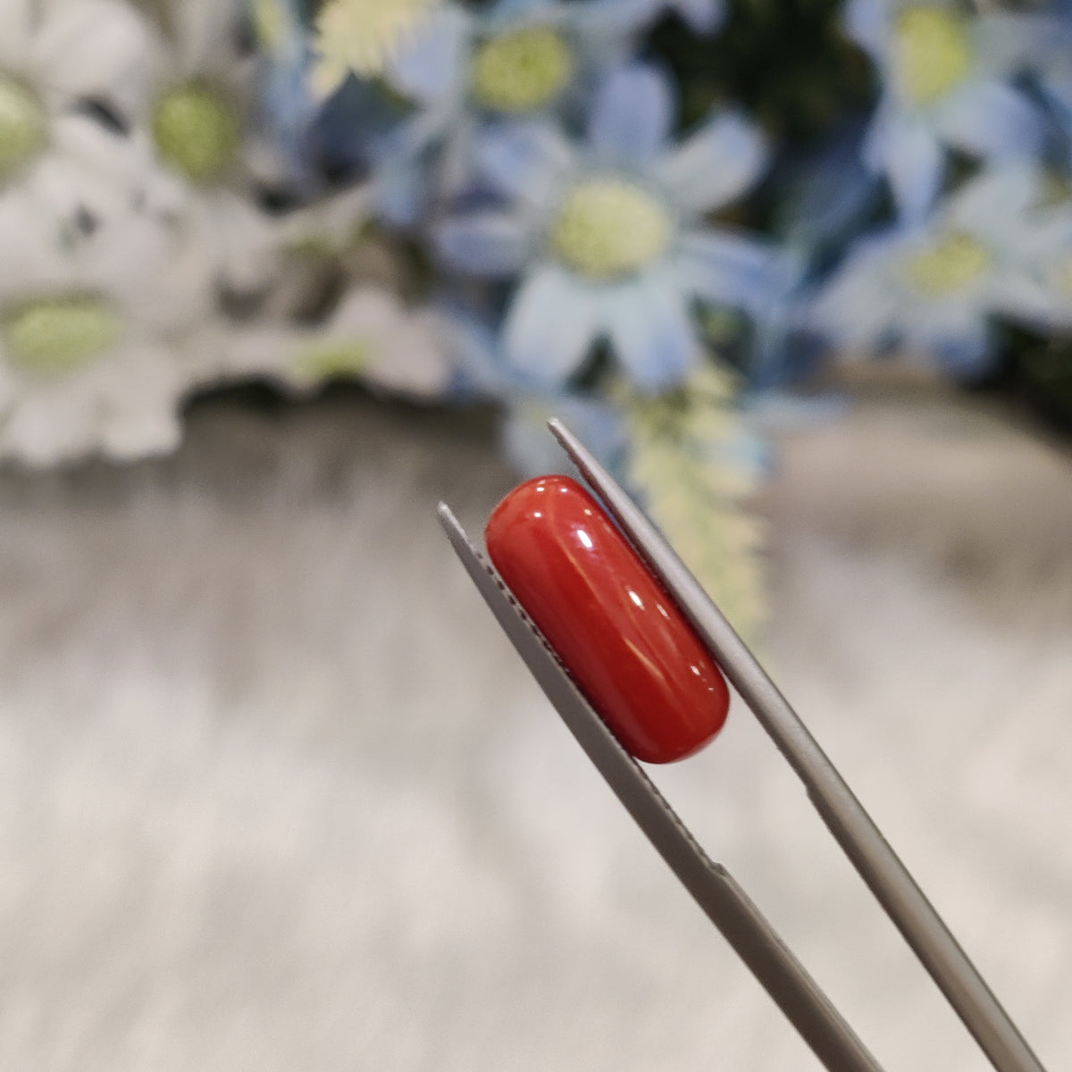 Natural Coral (Moonga) | Coral 95 | 4.18 Carat | Certified