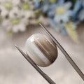 Sulemani Hakik | SH 14 | 16.7 Carat