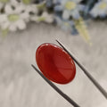 Carnelian | CNL 77 | 19.38 Carat