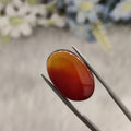 Carnelian | CNL 70 | 16.57 Carat