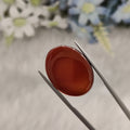Carnelian | CNL 78 | 19.6 Carat