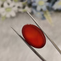 Carnelian | CNL 80 | 18.66 Carat