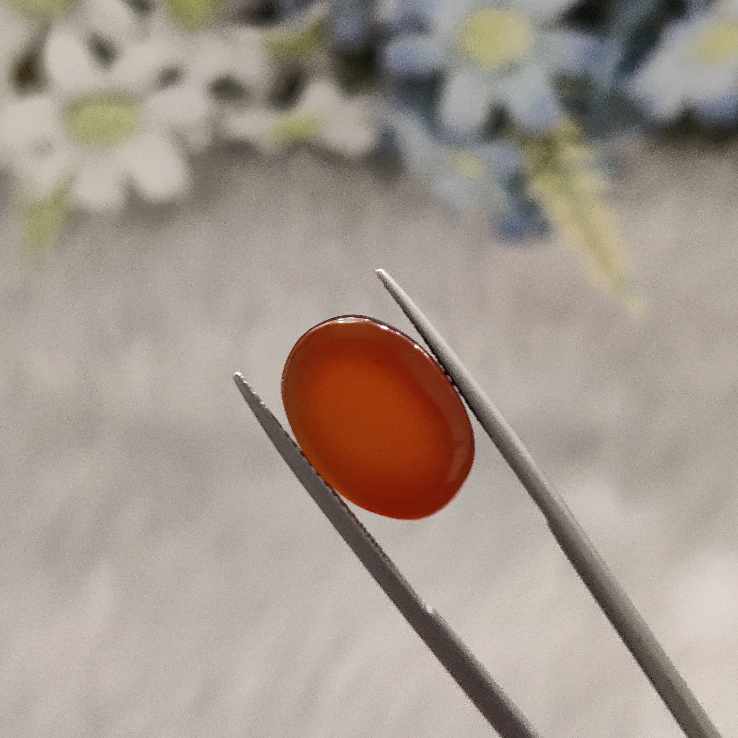 Carnelian | CNL 44 | 9.28 Carat