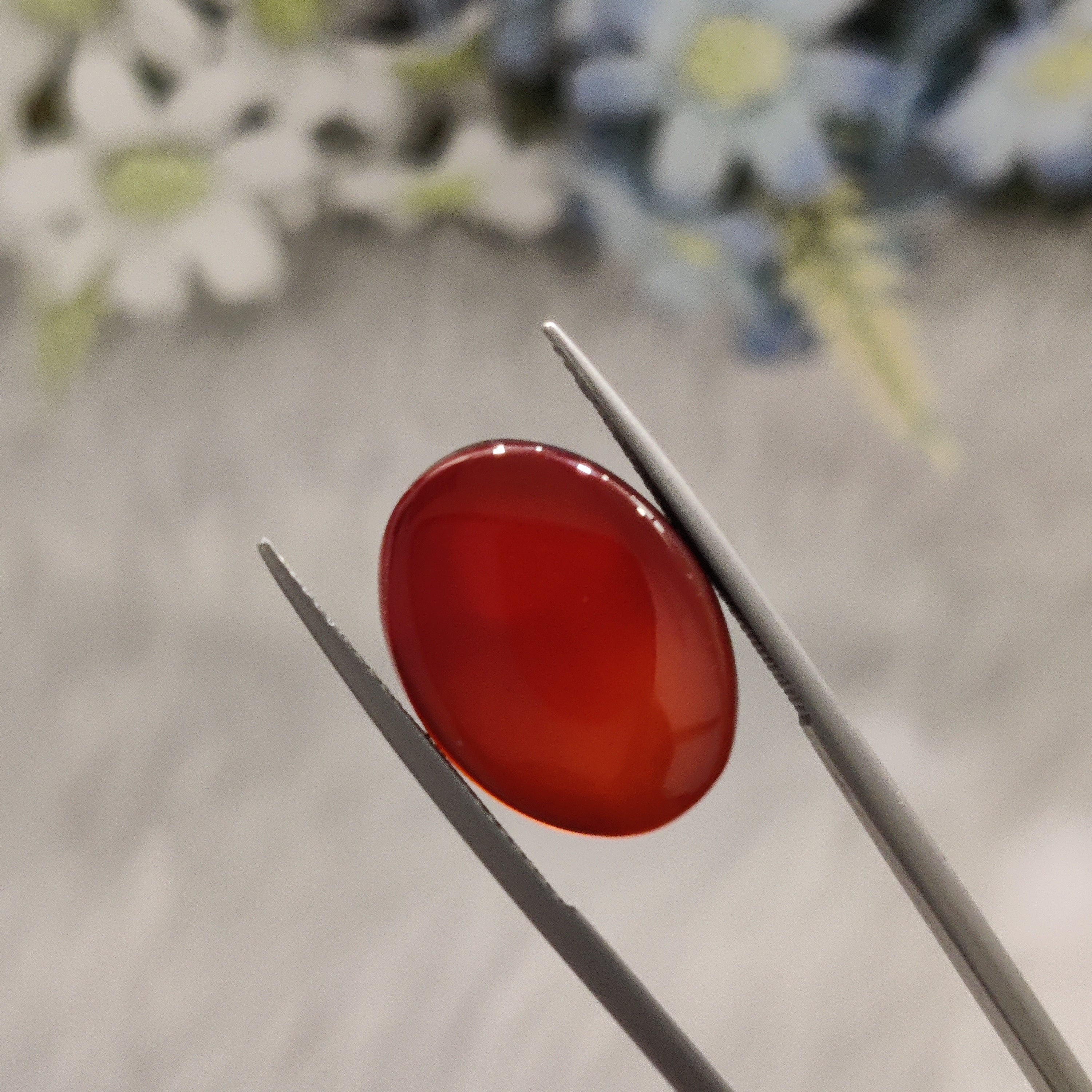 Carnelian | CNL 57 | 15.76 Carat